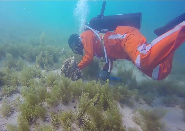 尊龙凯时·(中国区)人生就是搏!