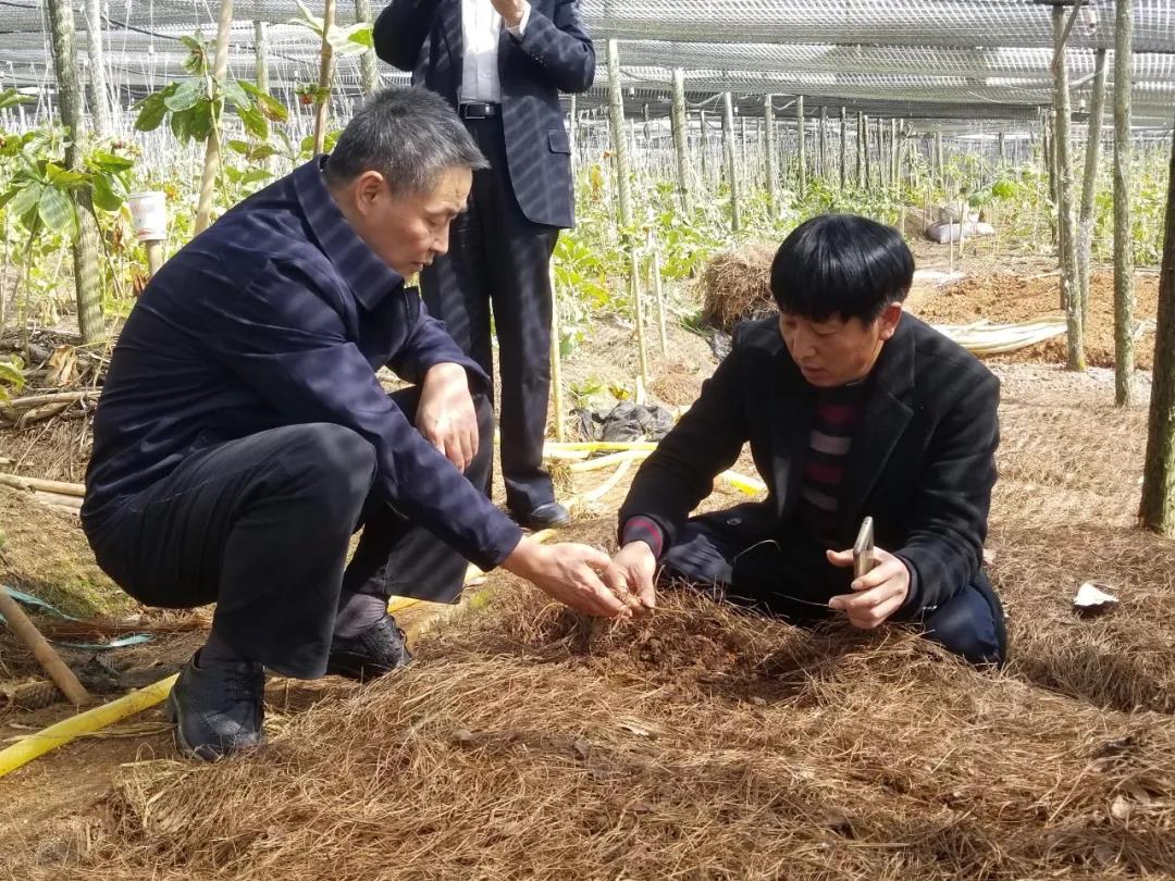 ������ʱ��(�й���)�������ǲ�!