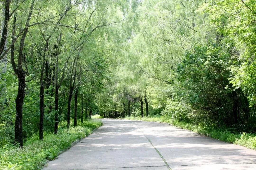 ������ʱ��(�й���)�������ǲ�!