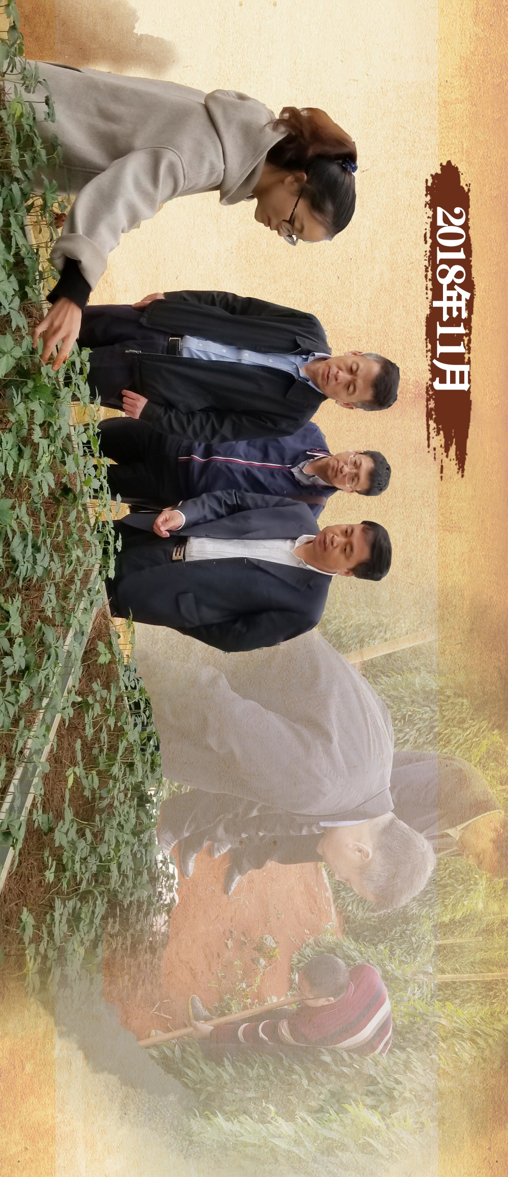 ������ʱ��(�й���)�������ǲ�!