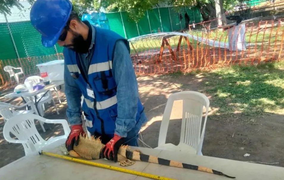 ������ʱ��(�й���)�������ǲ�!